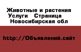 Животные и растения Услуги - Страница 2 . Новосибирская обл.